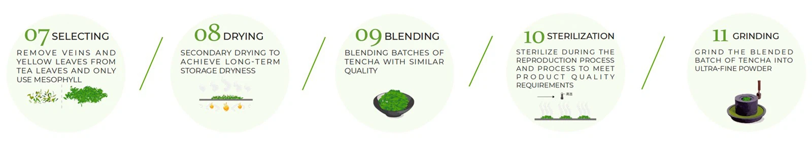 Matcha flow chart-3 Matcha flow chart-3